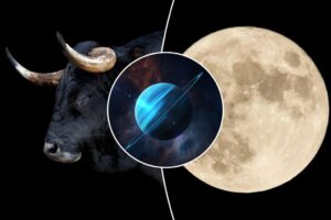 The Full Moon in Taurus is coming - hang on and ride until it wins you over

