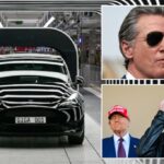Elon Musk slams California Gov. Gavin Newsom for 'crazy' move to exclude Tesla from rebate plan