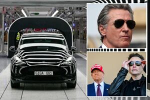 Elon Musk slams California Gov. Gavin Newsom for 'crazy' move to exclude Tesla from rebate plan


